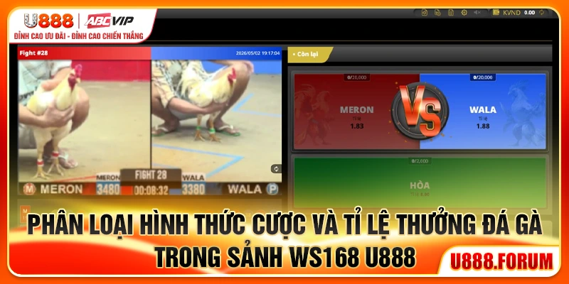 Sảnh Ws168 U888 - Stream Đỉnh, Kèo Chuẩn, Cược Liền Tay 3 Phân loại hình thức cược và tỉ lệ thưởng đá gà trong sảnh Ws168 U888